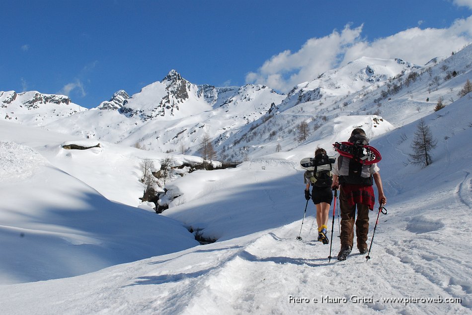 18 In vista dell'Alpe Varrone.jpg